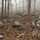 The ‘Jars of the Dead’ in a forest in Laos.